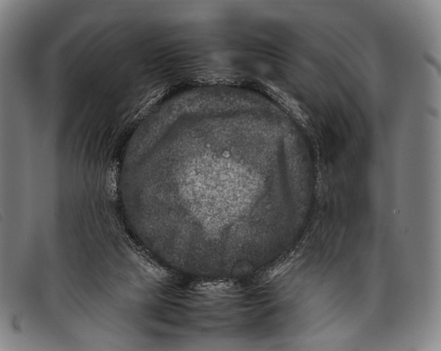 X0000097840065200804041453