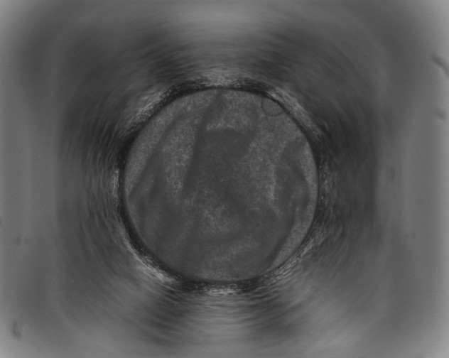 X0000097840066200804041453