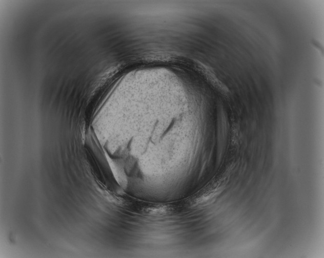 X0000097840068200804041453