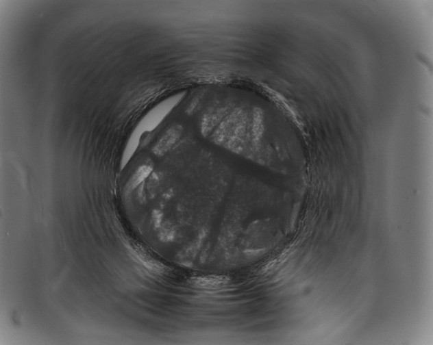 X0000097840069200804041453