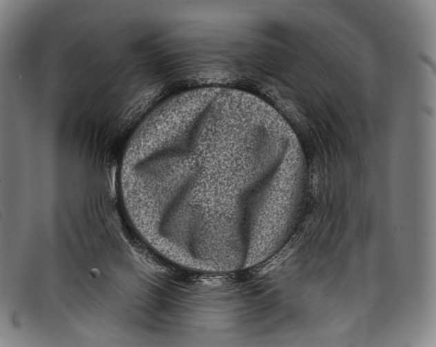 X0000097840070200804041453