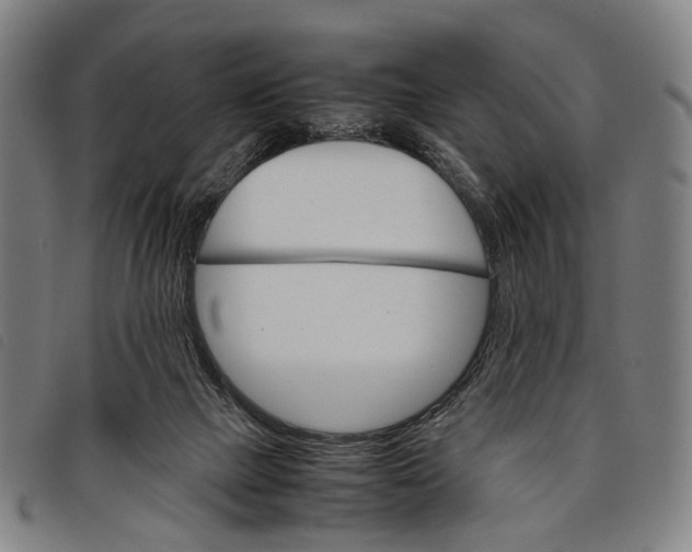 X0000097840073200804041453