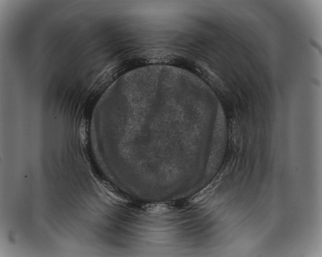 X0000097840074200804041453
