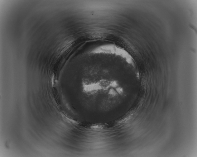 X0000097840076200804041453