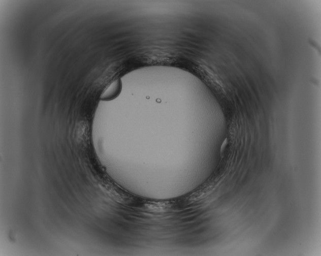 X0000097840079200804041453