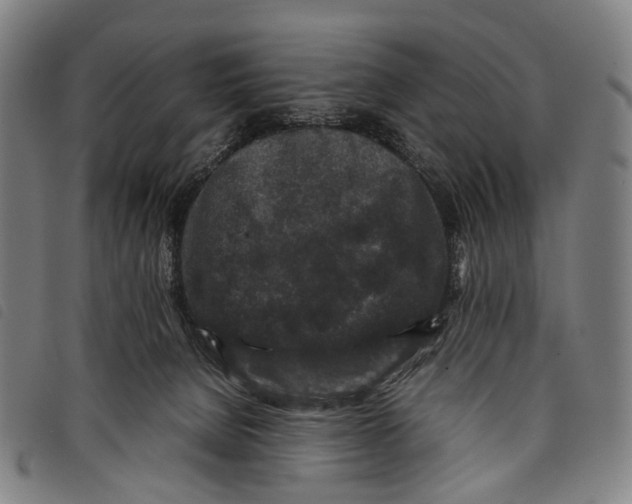 X0000097840080200804041453