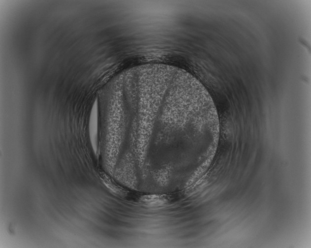 X0000097840082200804041453