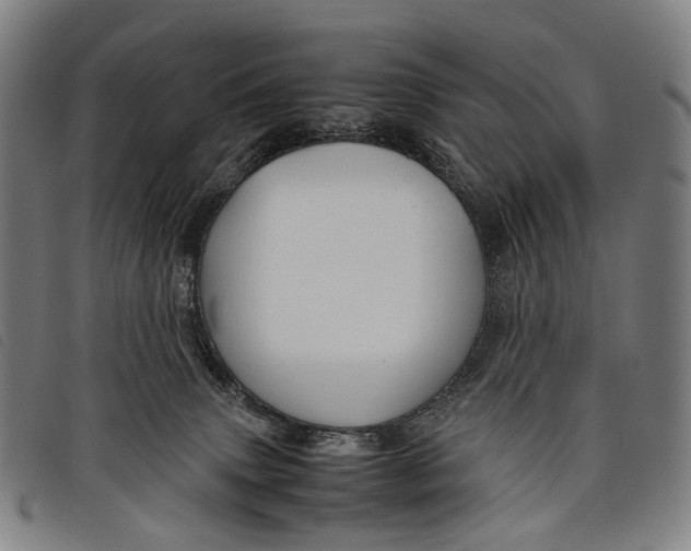 X0000097840083200804041453