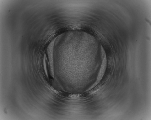 X0000097840084200804041453