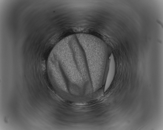 X0000097840085200804041453