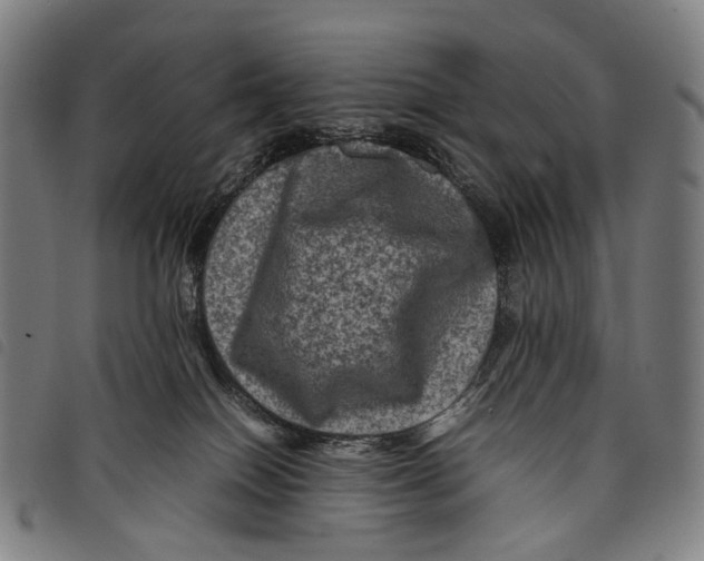 X0000097840086200804041453