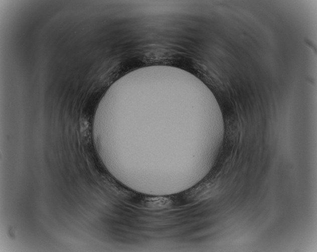 X0000097840087200804041453
