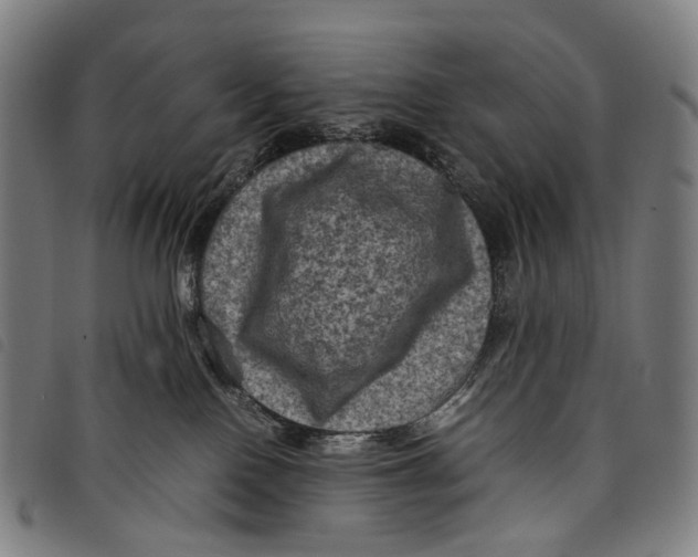 X0000097840090200804041453