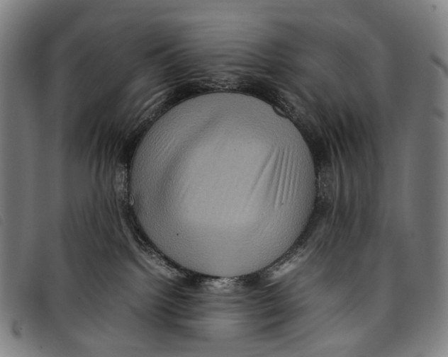 X0000097840092200804041453
