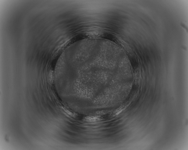 X0000097840093200804041453