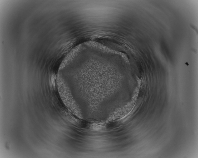 X0000097840094200804041453