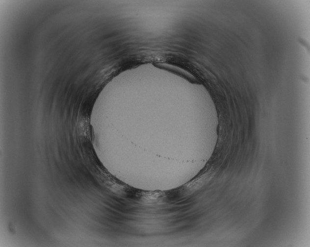 X0000097840096200804041453