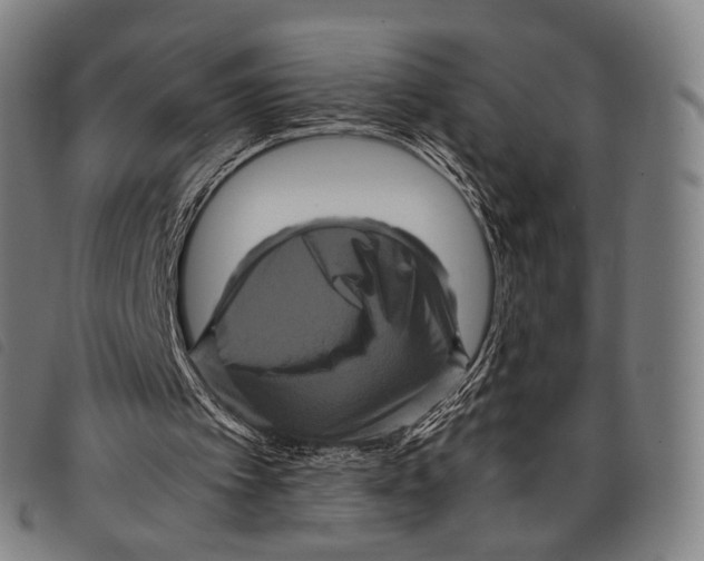 X0000097840097200804041452