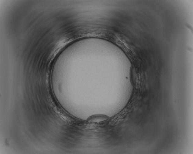 X0000097840098200804041452