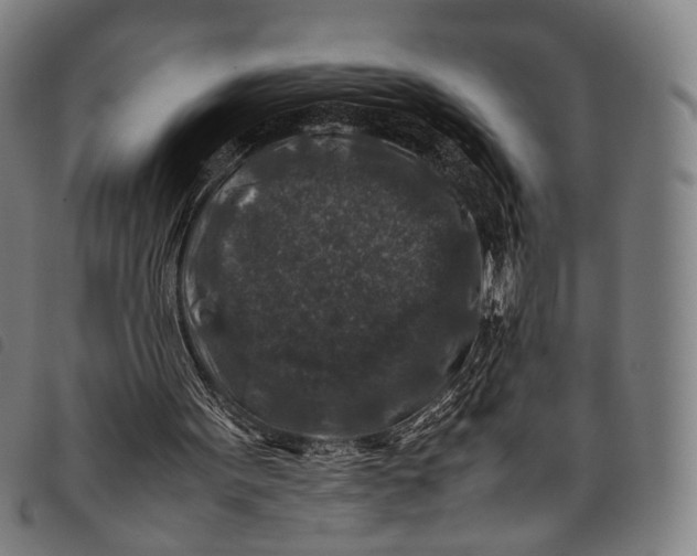 X0000097840099200804041452