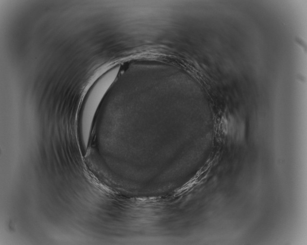 X0000097840100200804041452