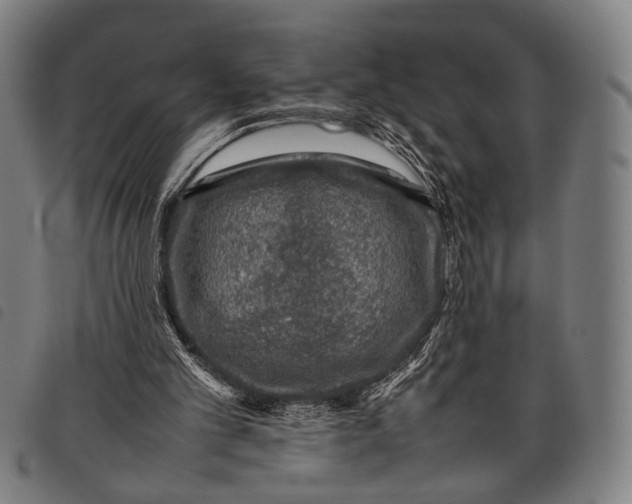X0000097840101200804041452