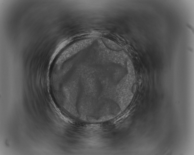 X0000097840102200804041452