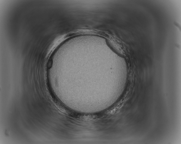 X0000097840103200804041452