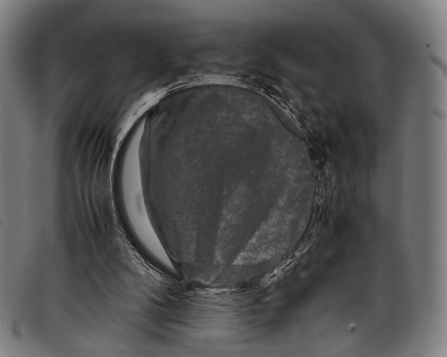 X0000097840104200804041452