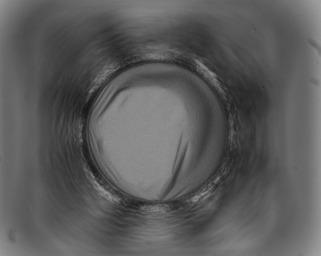 X0000097840106200804041452