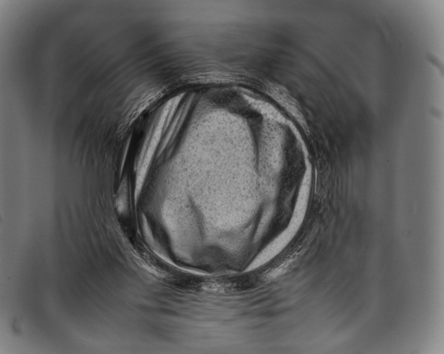 X0000097840109200804041452