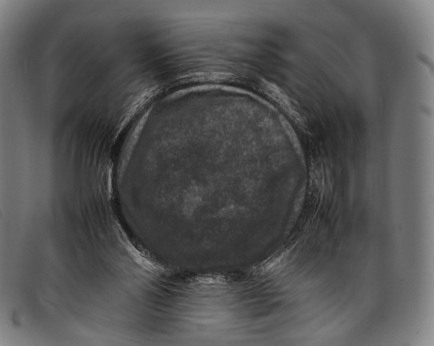 X0000097840110200804041452