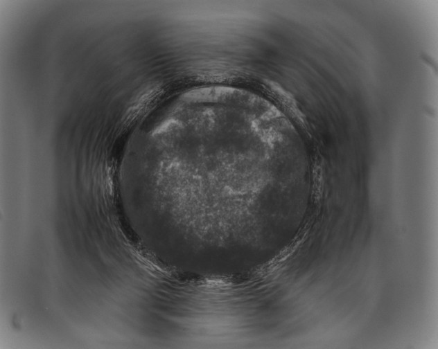 X0000097840114200804041452