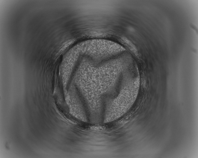 X0000097840115200804041452