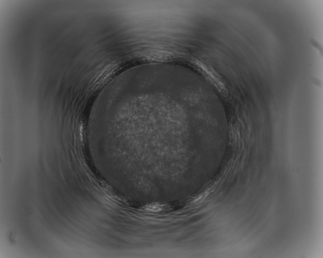 X0000097840117200804041452