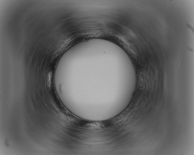 X0000097840118200804041452
