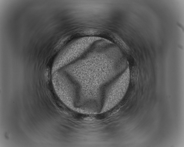 X0000097840119200804041452