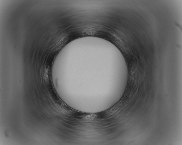 X0000097840122200804041452