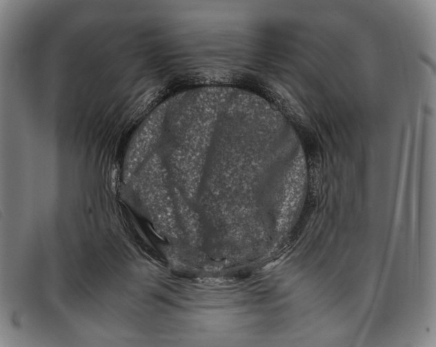 X0000097840123200804041452