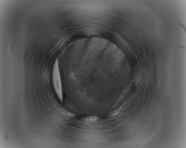 X0000097840124200804041452
