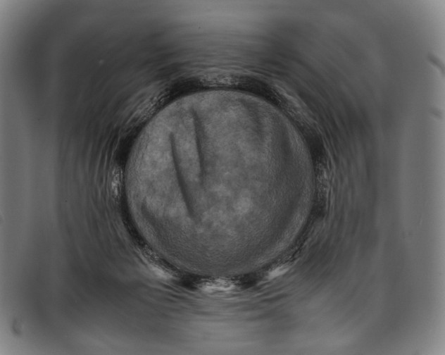 X0000097840125200804041452