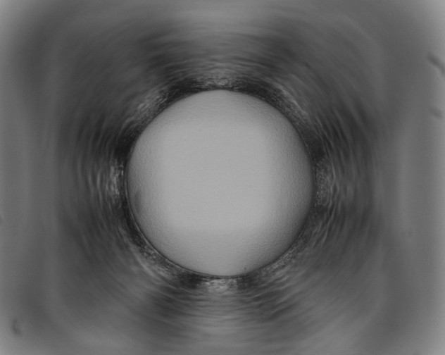 X0000097840126200804041452