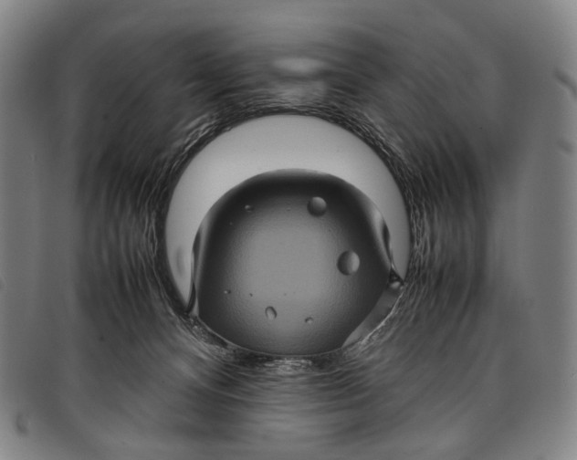 X0000097840128200804041452