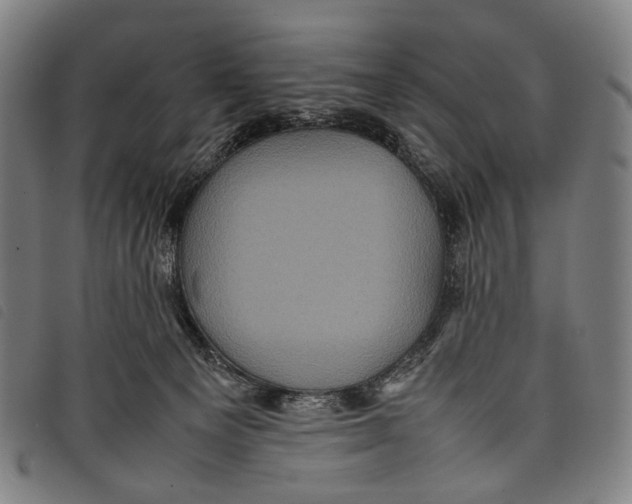 X0000097840129200804041452