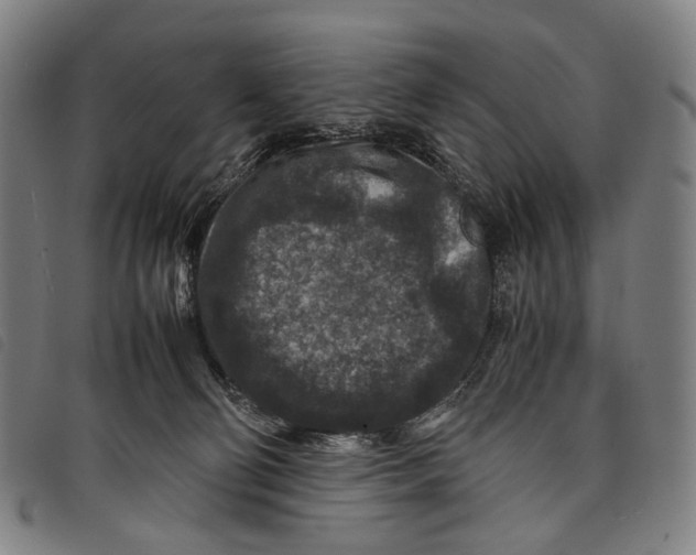 X0000097840130200804041452