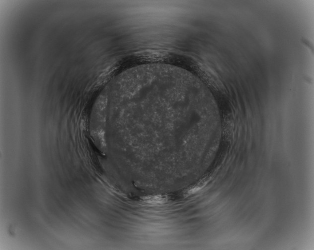 X0000097840131200804041452