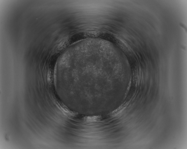X0000097840134200804041452