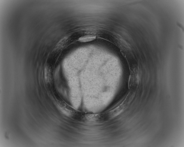 X0000097840136200804041452