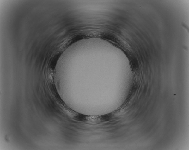X0000097840141200804041452