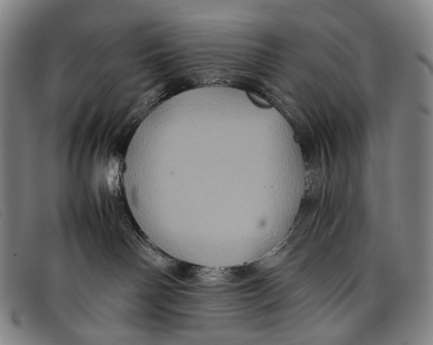 X0000097840142200804041452